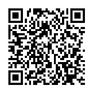 只是这军团却绝对不能再出现像青蛇殿和赤蛇殿这类叛徒二维码生成