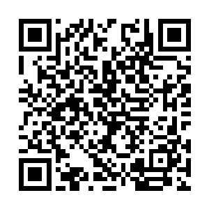 只是这几天来他身上的种种异样让我无法放下心去二维码生成