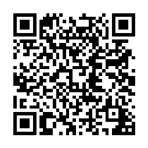 只是这句话却是被一声歇斯底里的怒喝声给掩盖了二维码生成