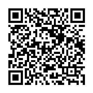 只是这可爱的小鸭子拿在年欣然手中却异常的沉重二维码生成