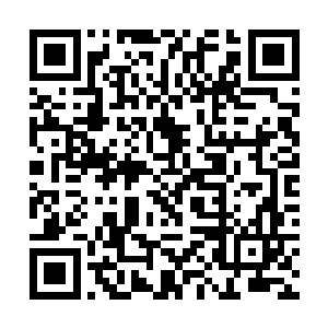 只是这场战斗到这里李川毫无悬念地占据了绝对优势二维码生成