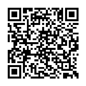 只是这如今凤大小姐已经和雍王生米煮成熟饭了二维码生成