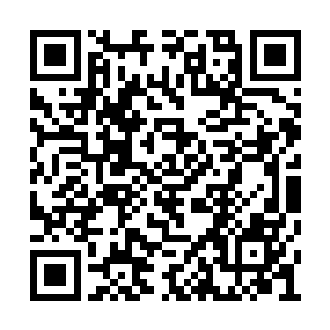 只是这家伙在战队里素来就和小星星的最为要好二维码生成