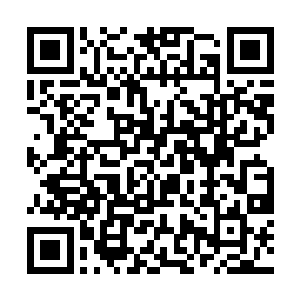 只是这样……所以但是看到云……城主的毒被压制住二维码生成