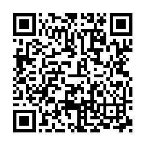 只是这次他跟沈丽缇和杜海琼还有一桩大事要谈二维码生成