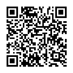 只是这次打断他的却是之前一直没有动作的里包恩二维码生成