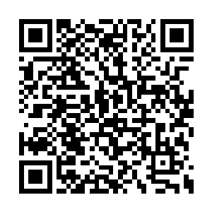 只是这种事一时间也查不到什么太有价值的东西二维码生成