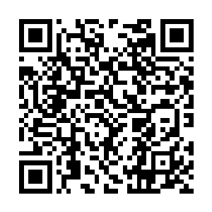 只是这道被击碎的剑光没有像普通的能量一样消散二维码生成