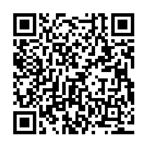 只是这里总有一股诡异的气息总在无时无刻的影响着人类的大脑二维码生成