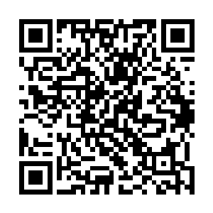 只是这队伍中就只有他一人是没有办法用灵力调节体温的二维码生成