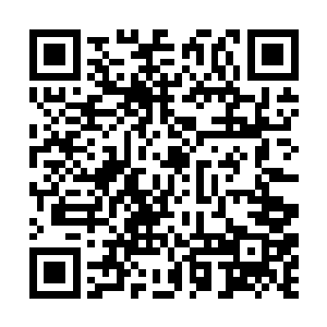 只是这阴沉木会吸收我的血液过后散发出很强的阳气二维码生成