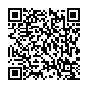 只是进来的条件是捐助学校一万银河币的助学捐款二维码生成