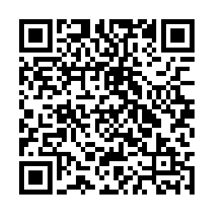 只是远距离地控制着八品符宝锁定着岳盘和项紫云二维码生成