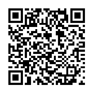 只是遗失大陆五族族长的表现让她心中有了一丝不悦二维码生成