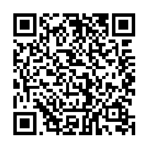 只是那个八卦盘并没有像之前光幕内展示的那样缓缓盘旋二维码生成