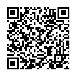 只是那个对象无论如何都没有前知县大人的后院热闹二维码生成