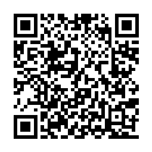 只是那后背却因为救她而留下了那么残忍的伤口二维码生成