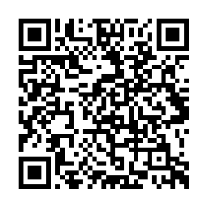 只是那圣级的威能一浪一浪地向着他们三个涌来二维码生成