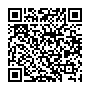 只是那时间和空间属性分别呆在九种属性光团的两边二维码生成