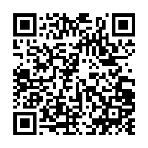 只是那猴头偏要修行者道……怕也是心性命数使然二维码生成