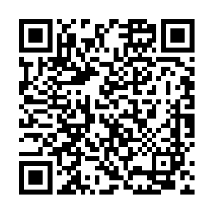 只是长大后在与自然隔绝的那种生活方式中逐渐迷失了二维码生成