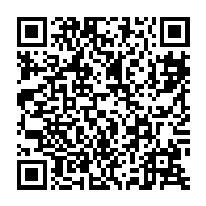 只是长年不停为工作运转的大脑已经习惯了那种苛刻又淡漠的模式二维码生成
