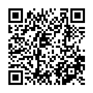 只是长生手里的已经不再是原本白白胖胖的模样了二维码生成