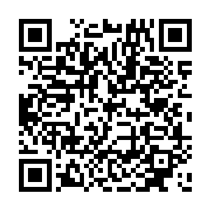 只是闻朝鸿和闻大夫人却有些不赞同他们的意思二维码生成