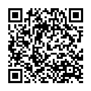 只是除了事后在心里默默增加一次秋后算账的誓言外二维码生成