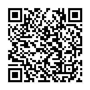 只是随着意大利正府的介入却没能将高扬他们留下二维码生成