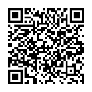 只是隐隐疼痛欲裂的胸腔却让他的笑声听起来支离破碎二维码生成