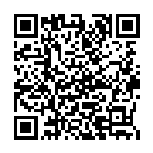 只是面前这个高大英俊的年轻人是她仰慕的对象二维码生成