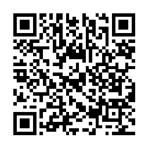 只是饶有兴致的望着两人究竟能把价格提到那里去二维码生成