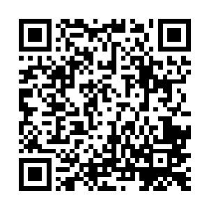 只是驱赶着仙帝一下的混沌兽向着仙城不停地冲击而去二维码生成