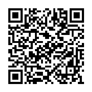 只是骨皇这家伙什么时候拥有这么强大的力量了二维码生成