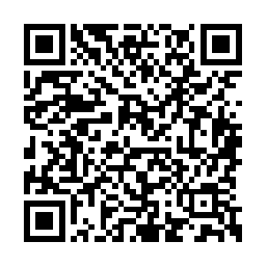 只是齐星大陆的修士最高也只不过是元婴期修士二维码生成