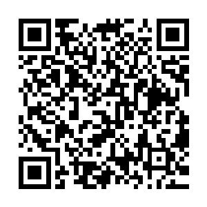 只有一些口口相传的知识和神话在一些幸存者口中被流传下来二维码生成