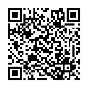 只有一些大贵族才会专门花费不菲的资源进行培育二维码生成