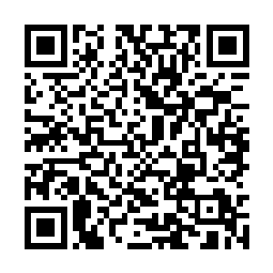只有一些根据残缺高级冥想法改进过后的简化版本二维码生成