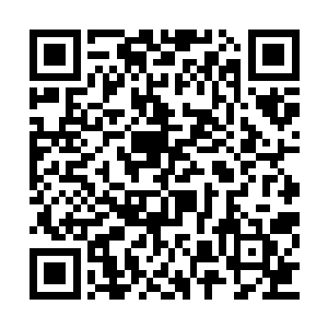 只有一些细微的光线从木板的缝隙之中透了进来二维码生成