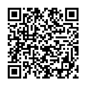 只有一些顶尖强者或是势力庞大的大家族才有一些存货二维码生成