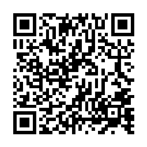 只有一少部分生长在生机灵髓或者灵土附近的混沌元符二维码生成