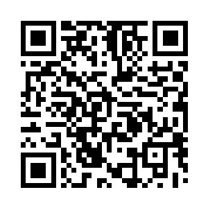 只有一辆辆巨大的车子在运送着各类脉石二维码生成