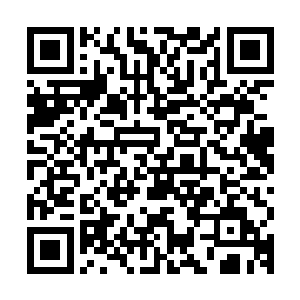 只有一道两尺多高的绝美女子的灵体和一个尺许高淡青色的婴孩二维码生成