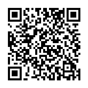 只有一部分弟子还偶尔在门派附近和塔底象征性巡逻而已二维码生成