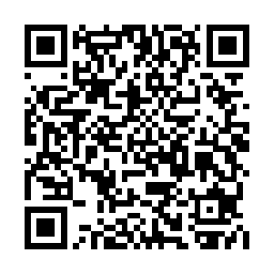 只有一队又一队装甲佩刀的巡逻禁卫军走来走去二维码生成