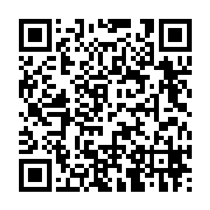 只有一队队骑着烈焰神驹的神禁军从远方巡逻而过二维码生成