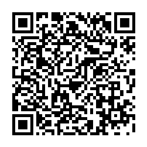 只有不到一半的半圣化身凭借半圣宝物护着其他化身逃出黑龙之雾的范围二维码生成