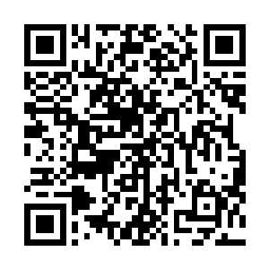 只有不知情的花痴少女们还一脸憧憬地望着台上的苏墨尘二维码生成