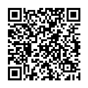 只有不长脑子的人才会为了宝物连周围的情况都不观察二维码生成